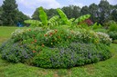 Morris_Arboretum_2831_of_4229.jpg